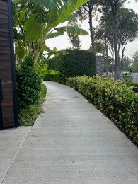 View of walkway in park with palm trees