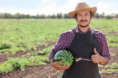 Photo of Man with ripe watermelon showing thumbs up in field on sunny day, space for text