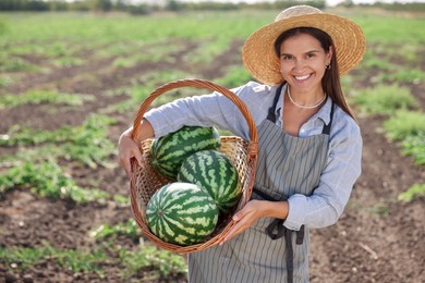 Photo of Woman holding wicker basket with ripe watermelons in field