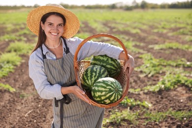 Woman holding wicker basket with ripe watermelons in field