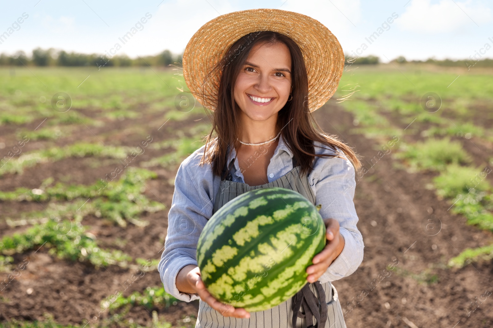 Photo of Woman with ripe watermelon in field on sunny day