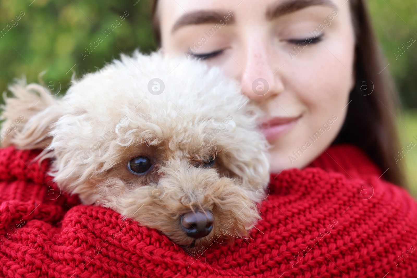 Photo of Portrait of woman with cute dog outdoors, closeup