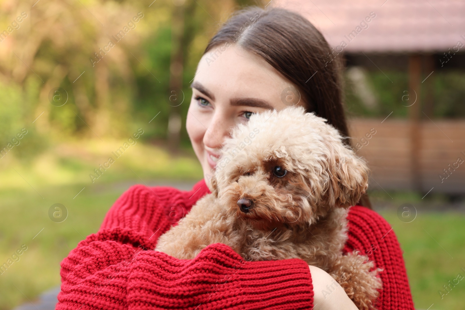 Photo of Woman with cute dog in autumn park