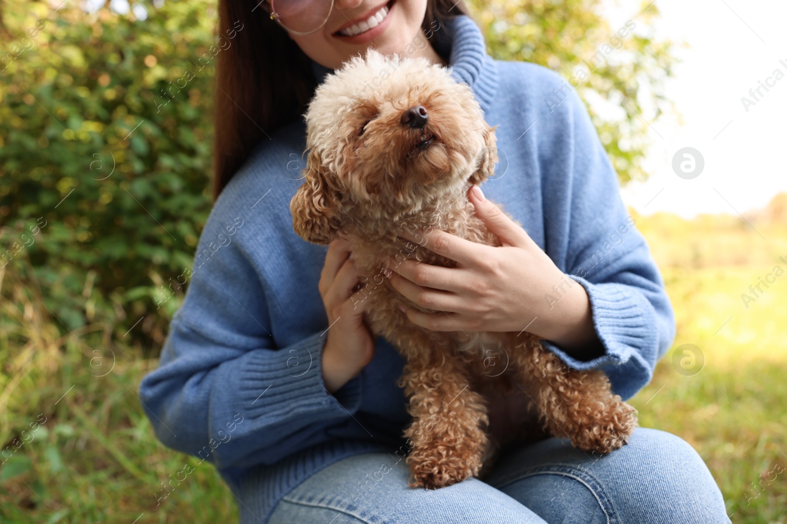 Photo of Smiling woman with cute dog outdoors, closeup