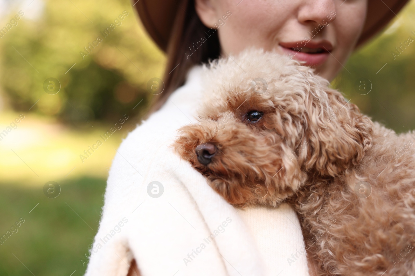 Photo of Woman with her cute dog outdoors, closeup