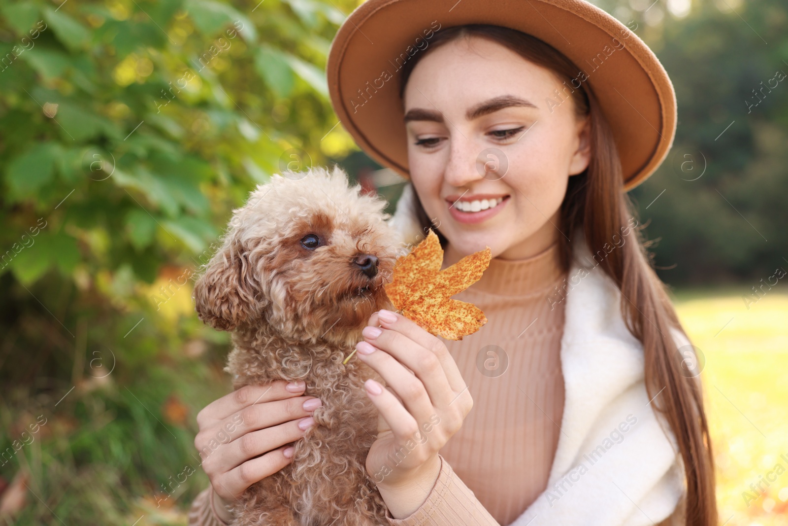 Photo of Smiling woman with cute dog and autumn leaf in park