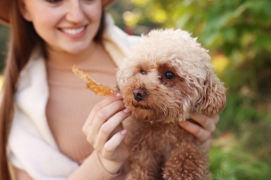 Photo of Smiling woman with cute dog and autumn leaf in park, closeup