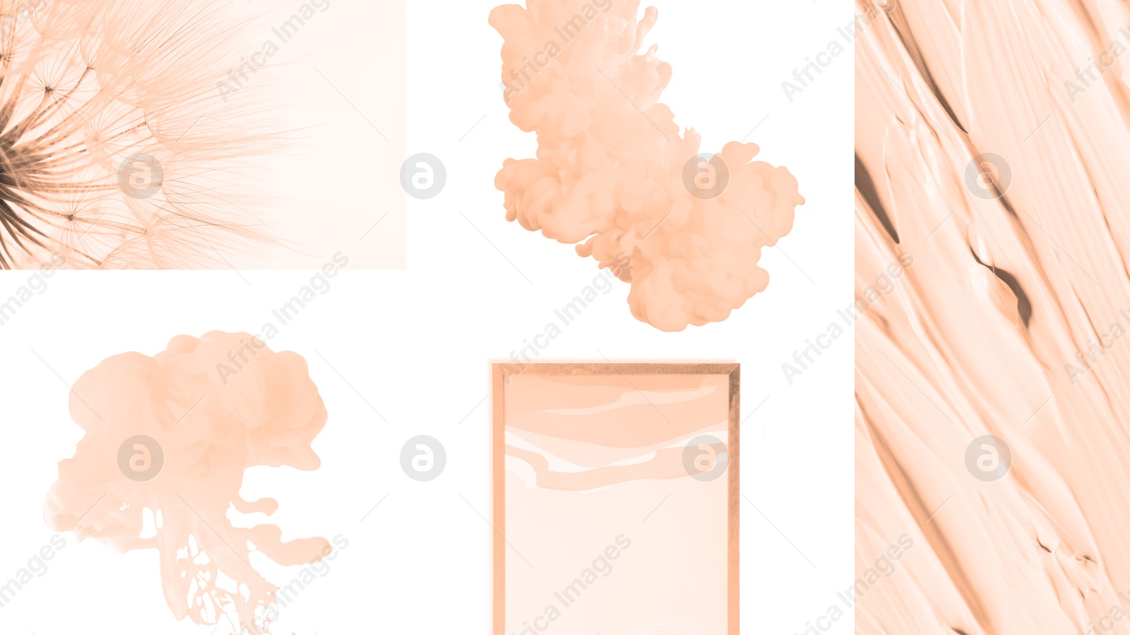 Image of Peach fuzz color themed collage on white background