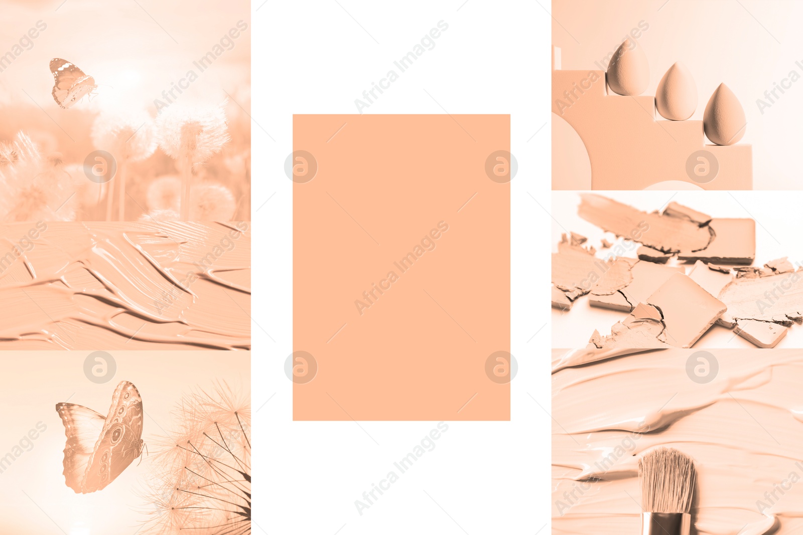 Image of Peach fuzz color themed collage on white background