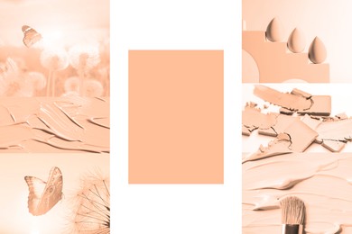 Peach fuzz color themed collage on white background