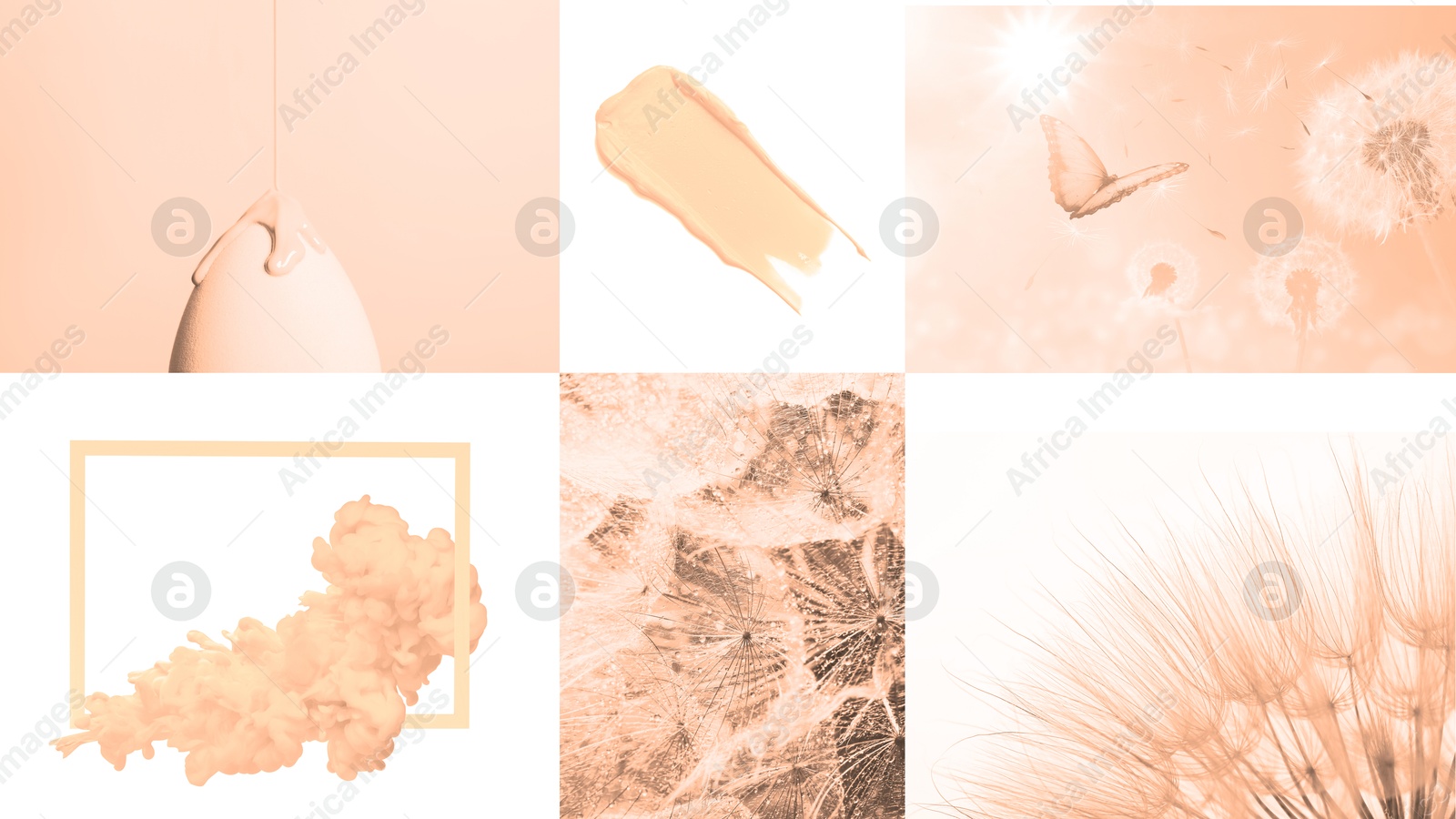 Image of Peach fuzz color themed collage on white background