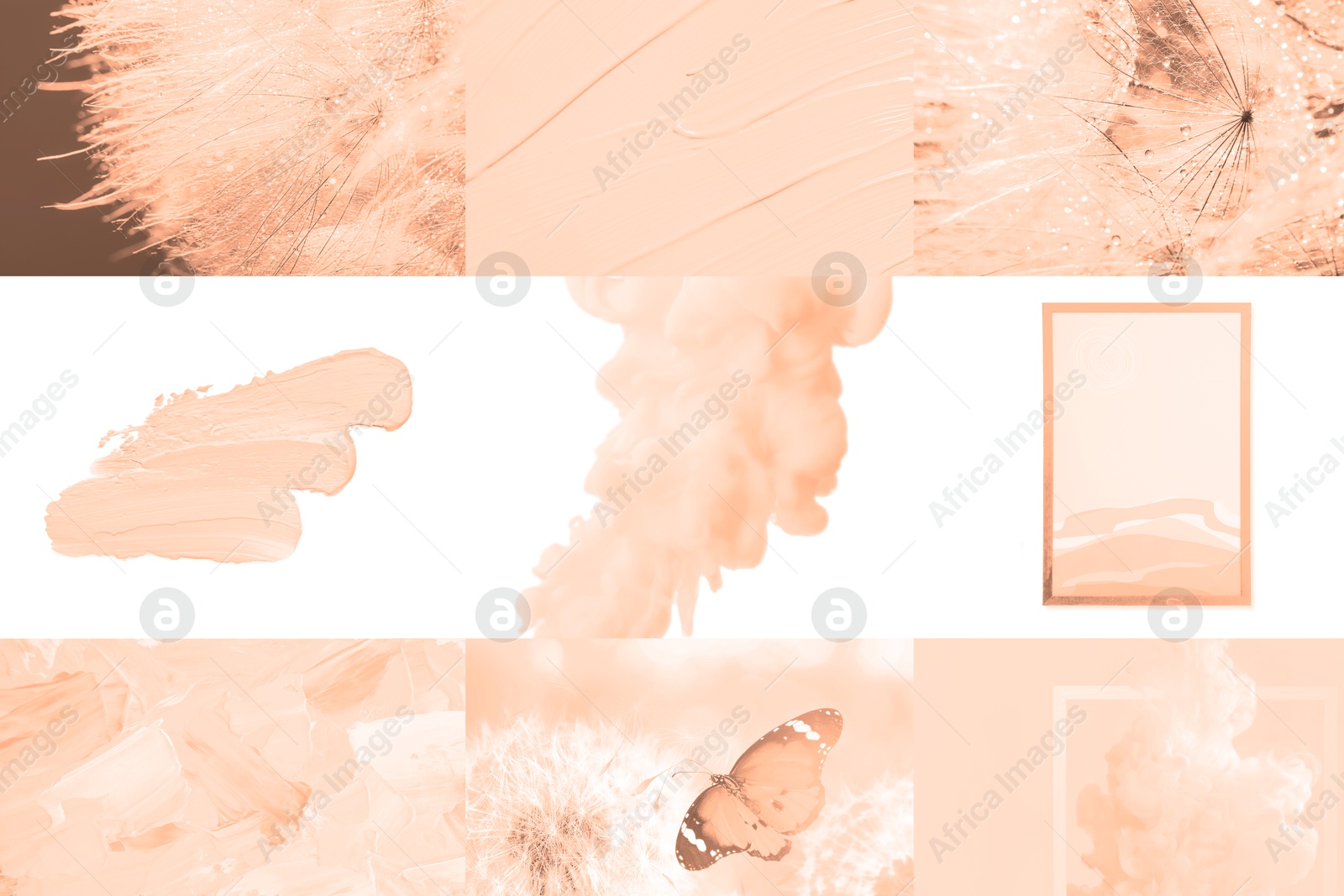 Image of Peach fuzz color themed collage on white background