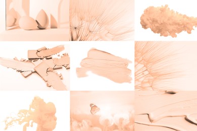 Image of Peach fuzz color themed collage on white background