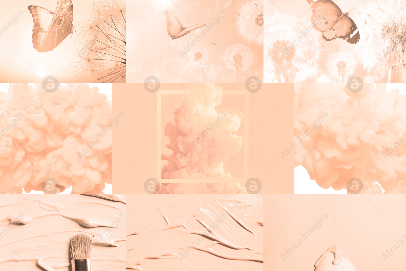 Image of Peach fuzz color themed collage on white background