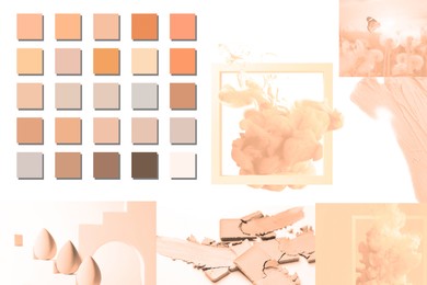 Image of Peach fuzz color themed collage on white background