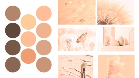 Image of Peach fuzz color themed collage on white background