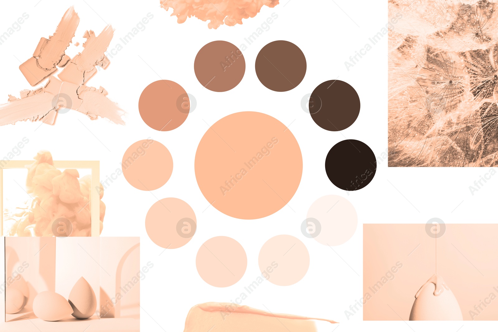 Image of Peach fuzz color themed collage on white background