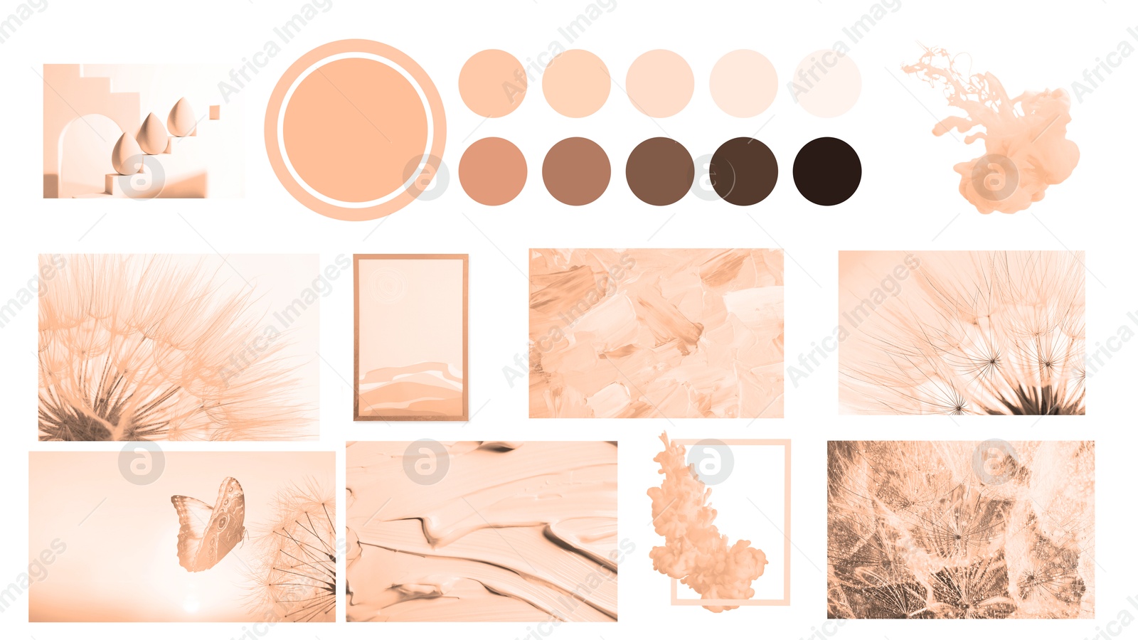 Image of Peach fuzz color themed collage on white background