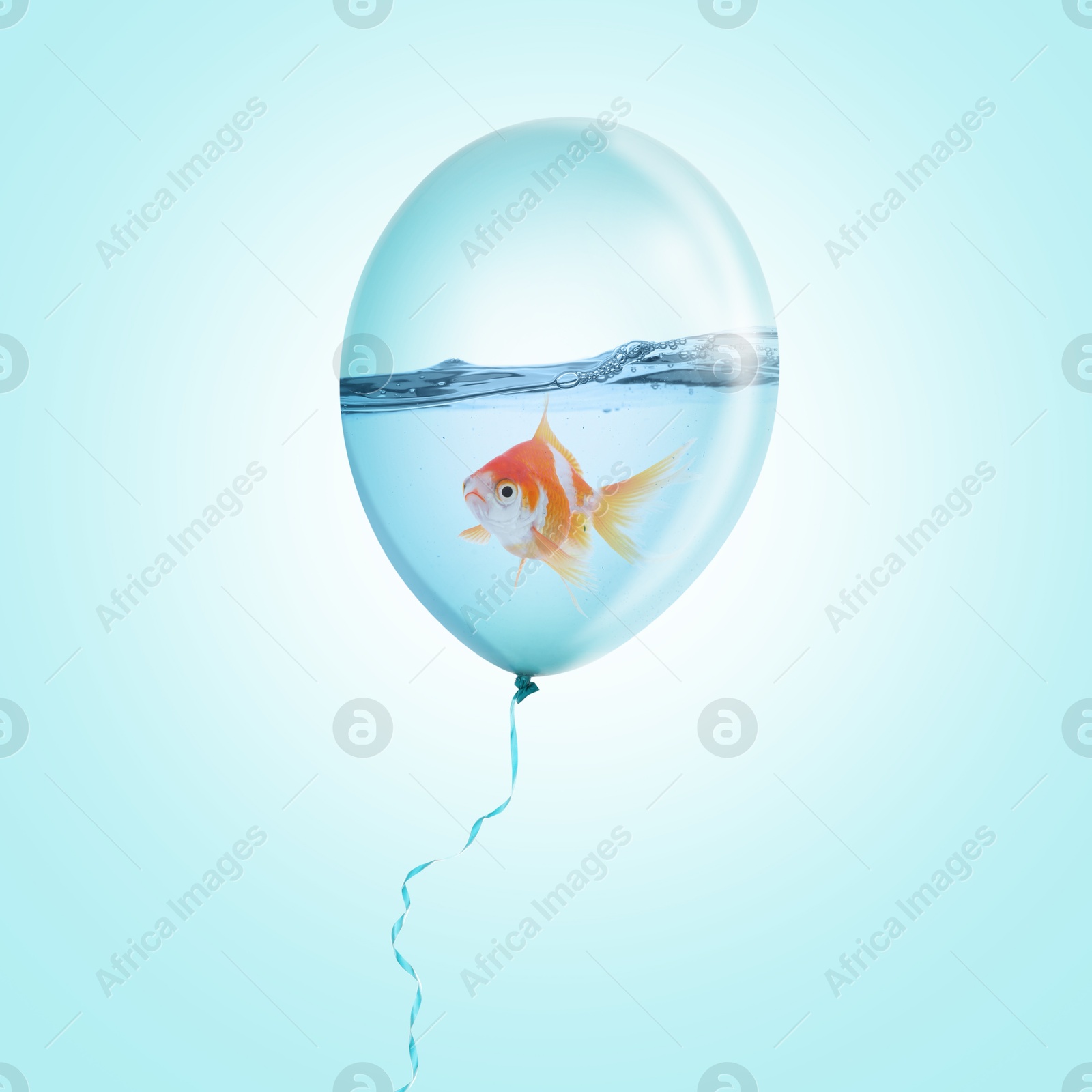 Image of Balloon with water and goldfish against light blue background