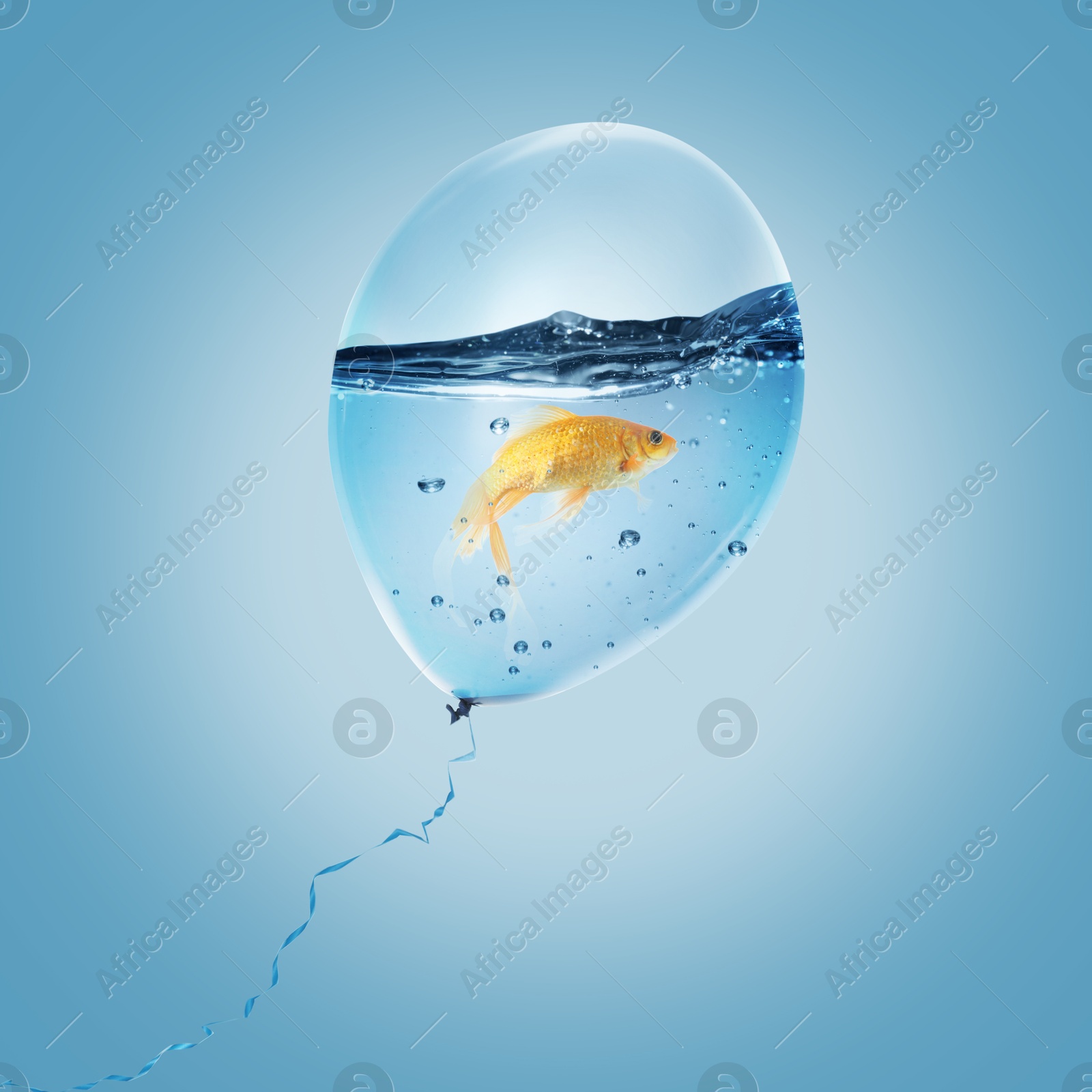 Image of Balloon with water and goldfish against light blue background