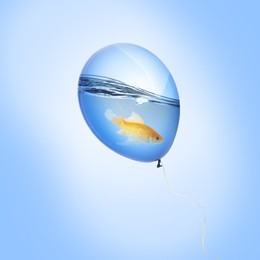 Image of Balloon with water and goldfish against light blue background