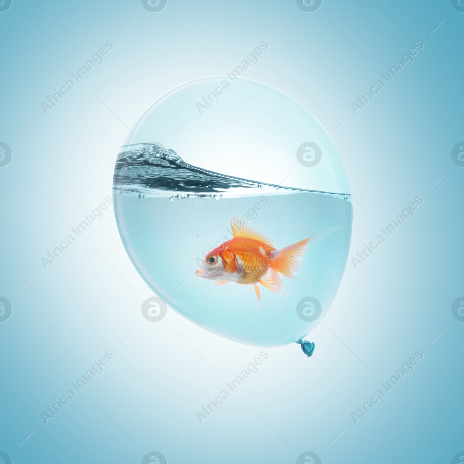 Image of Balloon with water and goldfish against light blue background