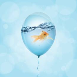 Image of Balloon with water and goldfish against light blue background