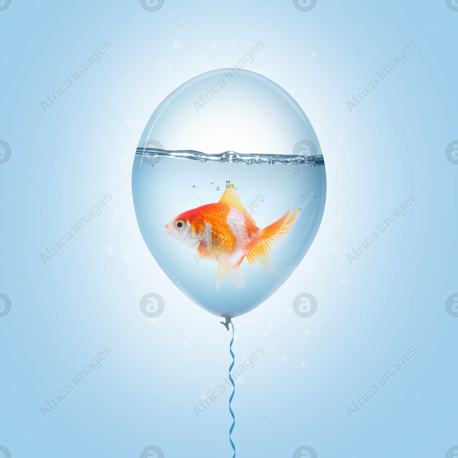 Image of Balloon with water and goldfish against light blue background