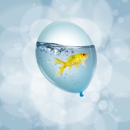 Image of Balloon with water and goldfish against light blue background