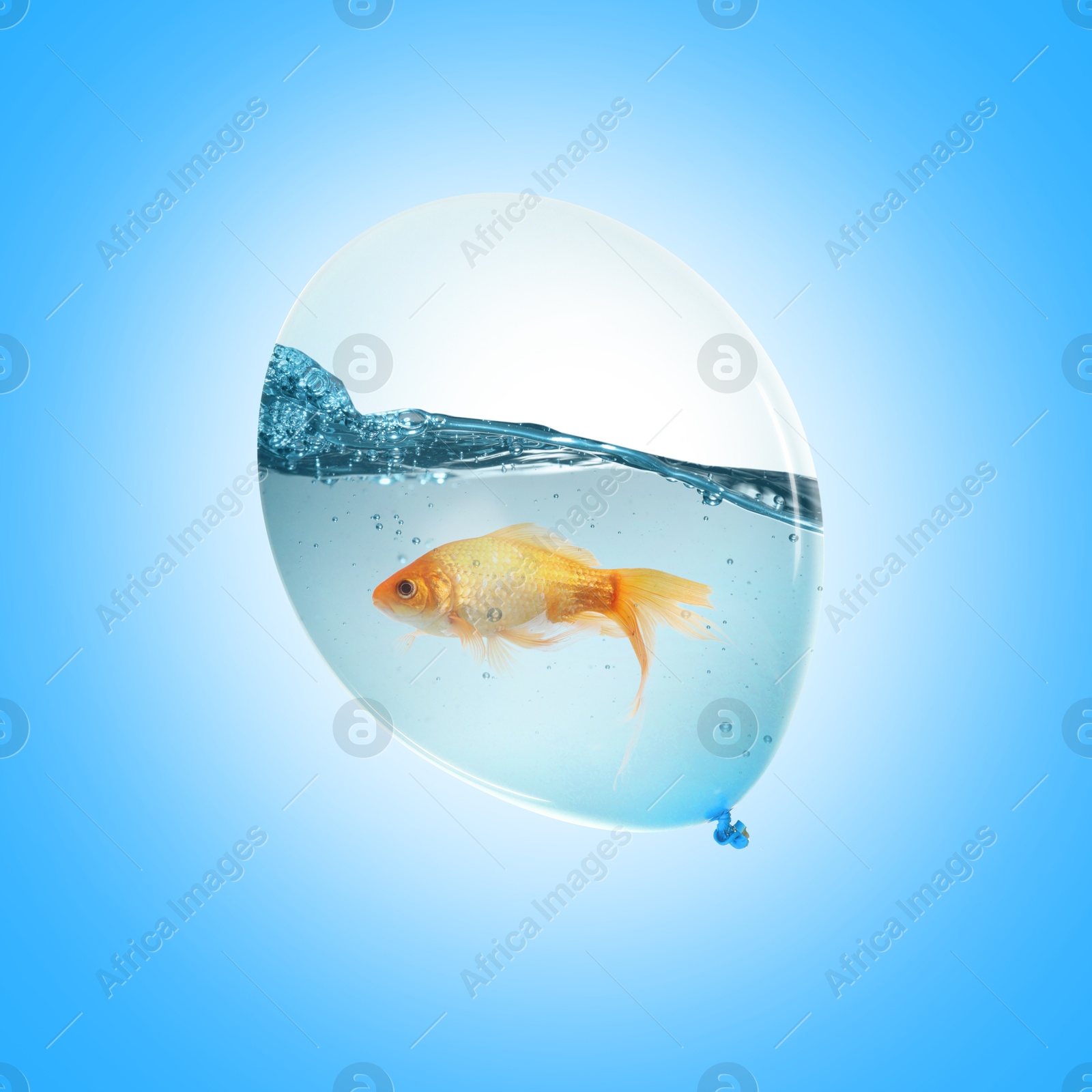 Image of Balloon with water and goldfish against light blue background