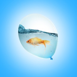 Image of Balloon with water and goldfish against light blue background