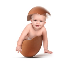 Cute little baby in eggshell on white background