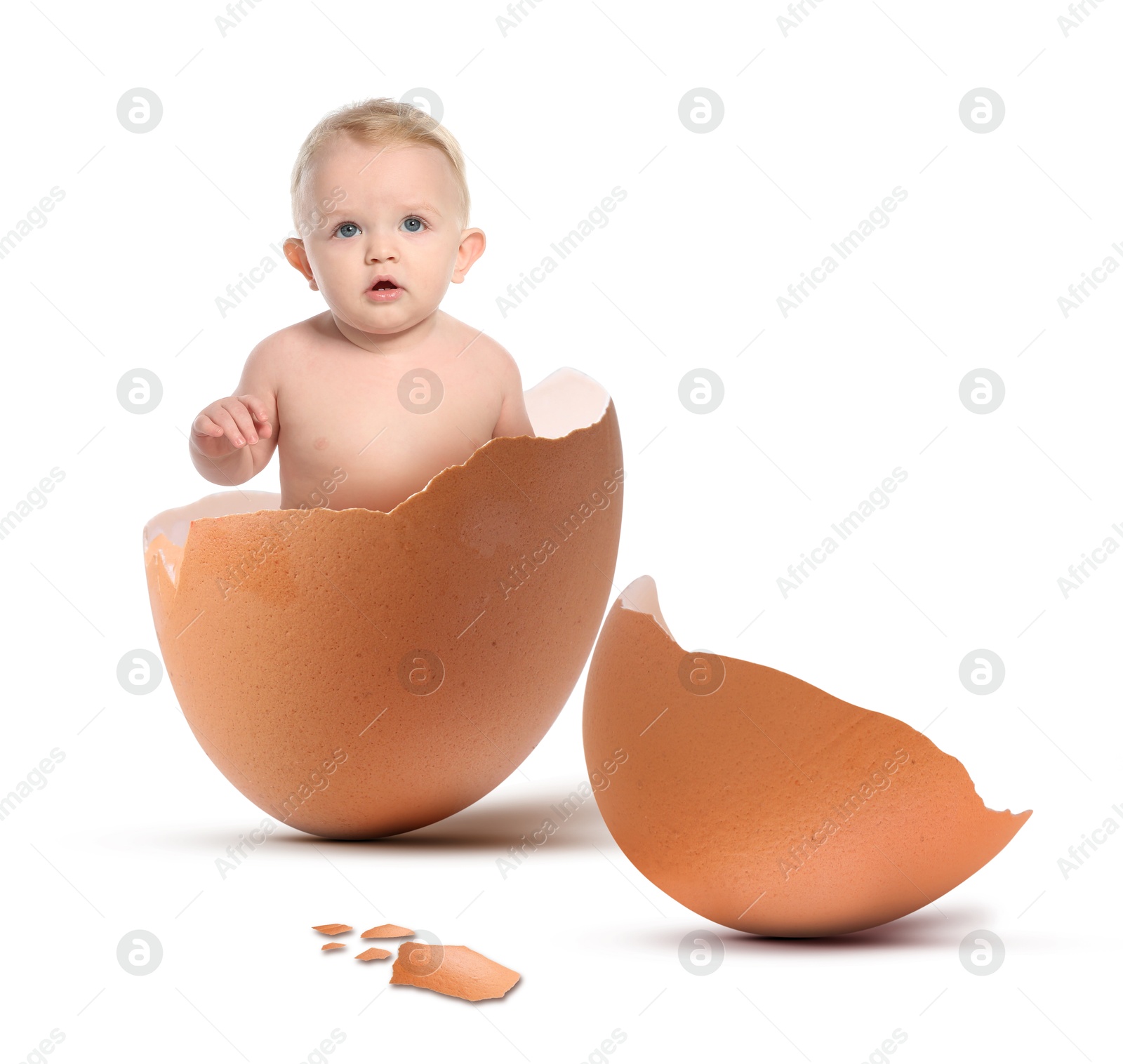 Image of Cute little baby in eggshell on white background