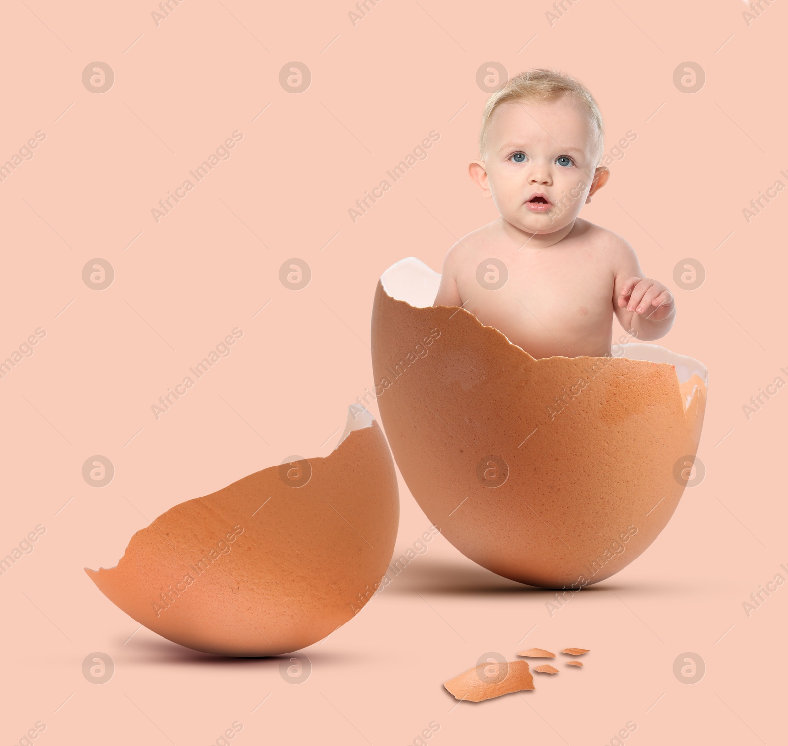 Image of Cute little baby in eggshell on beige pink background