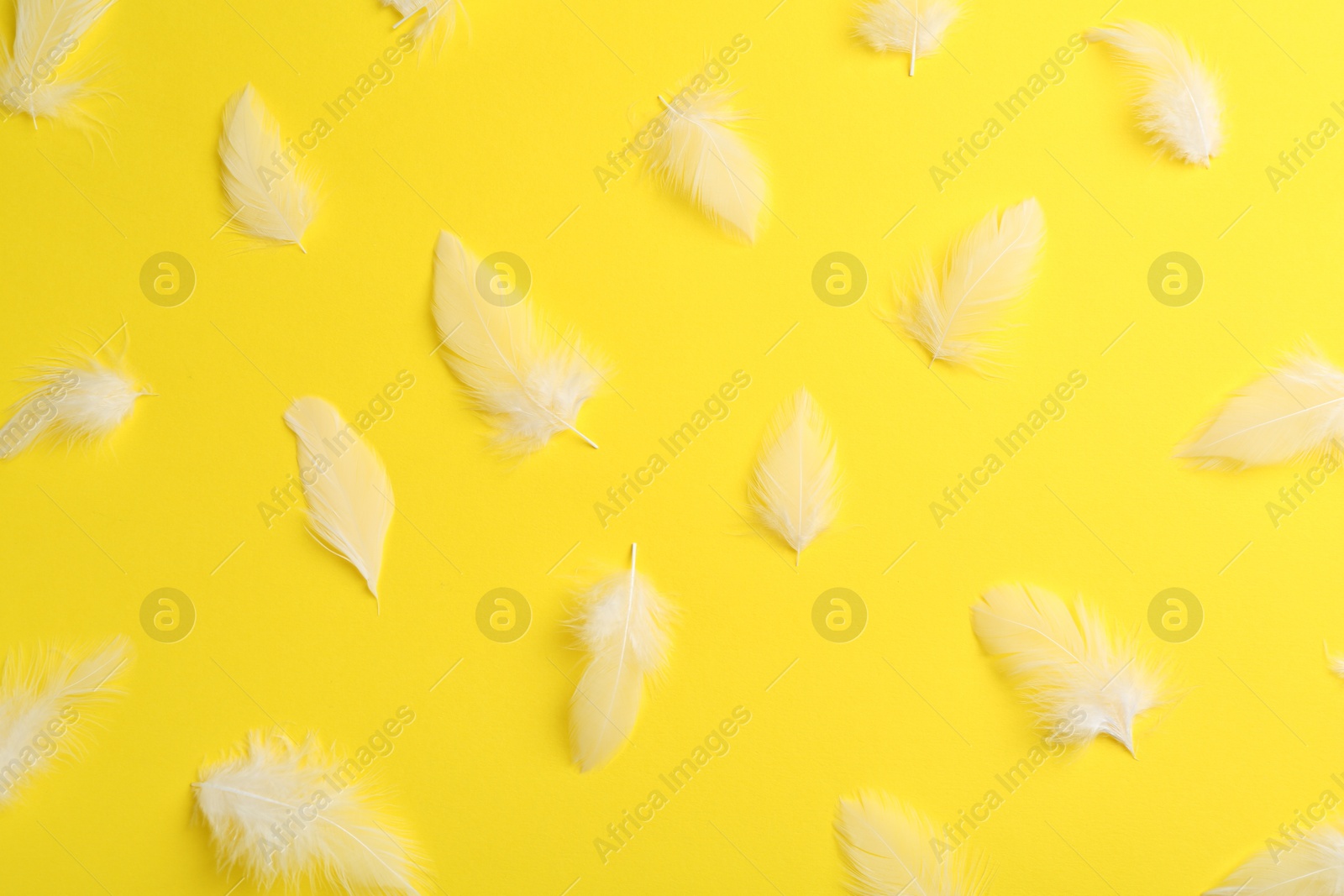 Photo of Many beautiful feathers on yellow background, flat lay