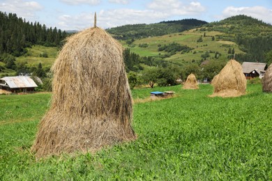 Photo of Piles of hay on green grass on sunny day