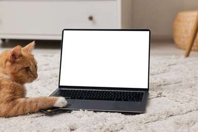 Photo of Online pet shop. Cute cat, laptop and credit card on rug indoors