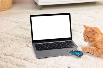 Photo of Online pet shop. Cute cat, laptop and credit card on rug indoors