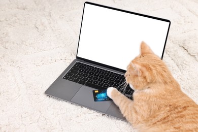 Photo of Online pet shop. Cute cat, laptop and credit card on rug indoors