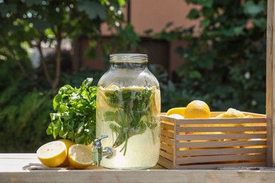 Photo of Lemonade stand with refreshing drink, fresh fruits and mint in park