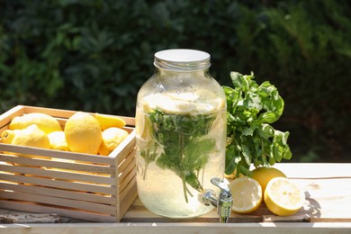 Photo of Lemonade stand with refreshing drink, fresh fruits and mint in park