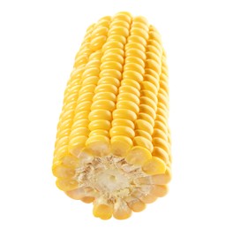 Photo of Piece of fresh corncob isolated on white