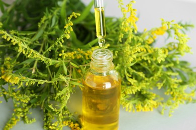 Dripping tincture from pipette into bottle and herbs on white background, closeup