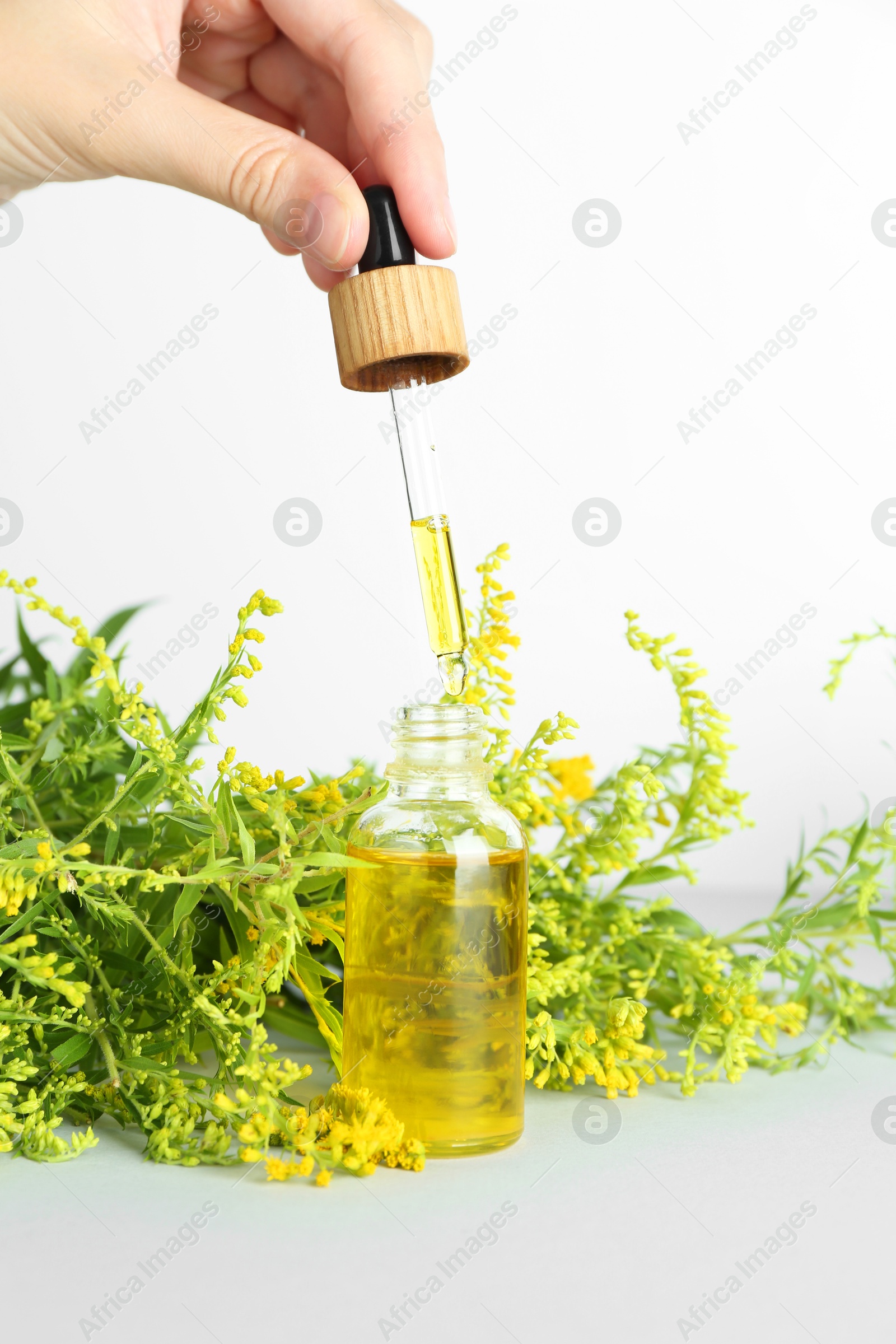 Photo of Woman dripping tincture from pipette into bottle and herbs on white background, closeup