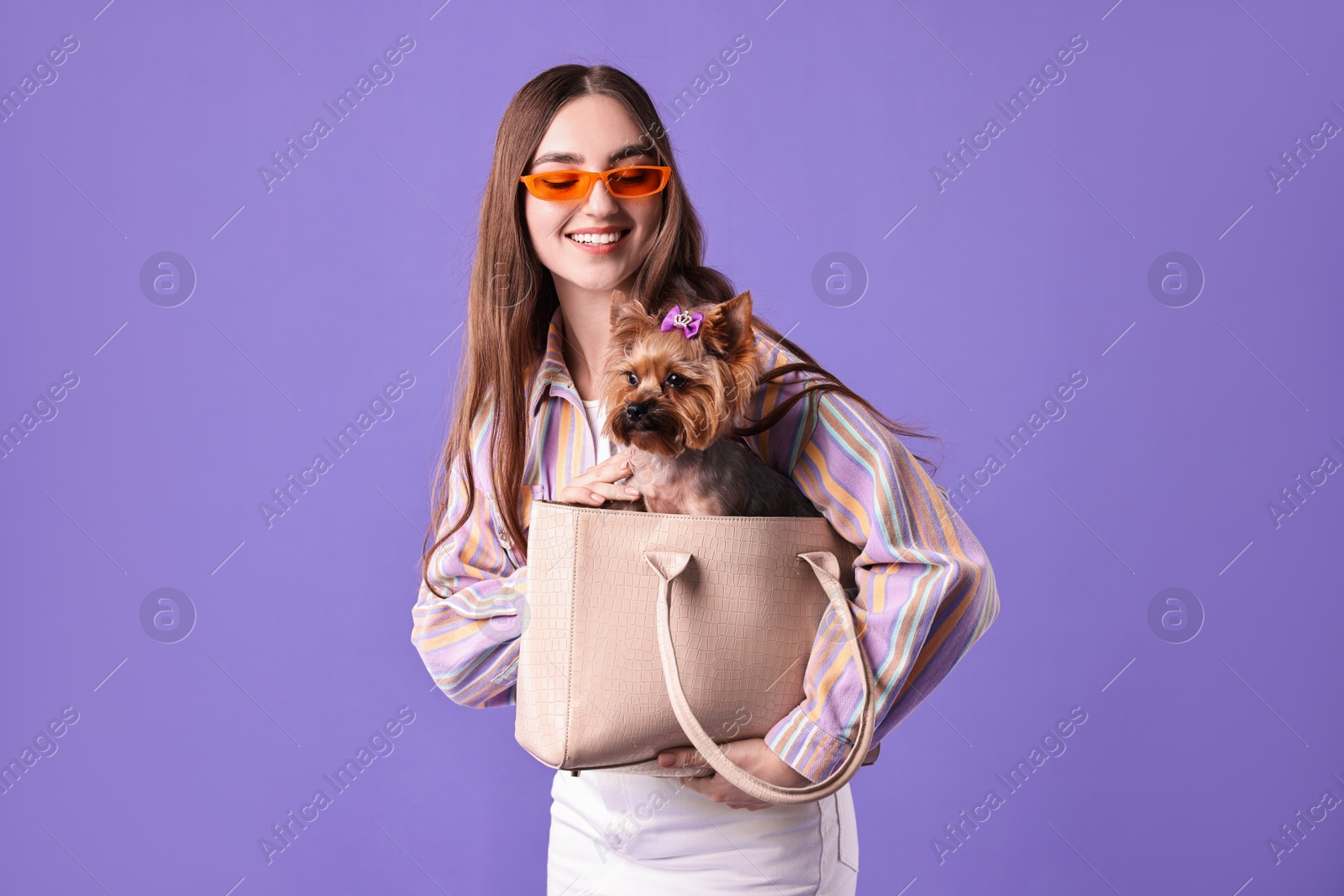 Photo of Beautiful young woman carrying cute Yorkshire Terrier dog in bag on violet background