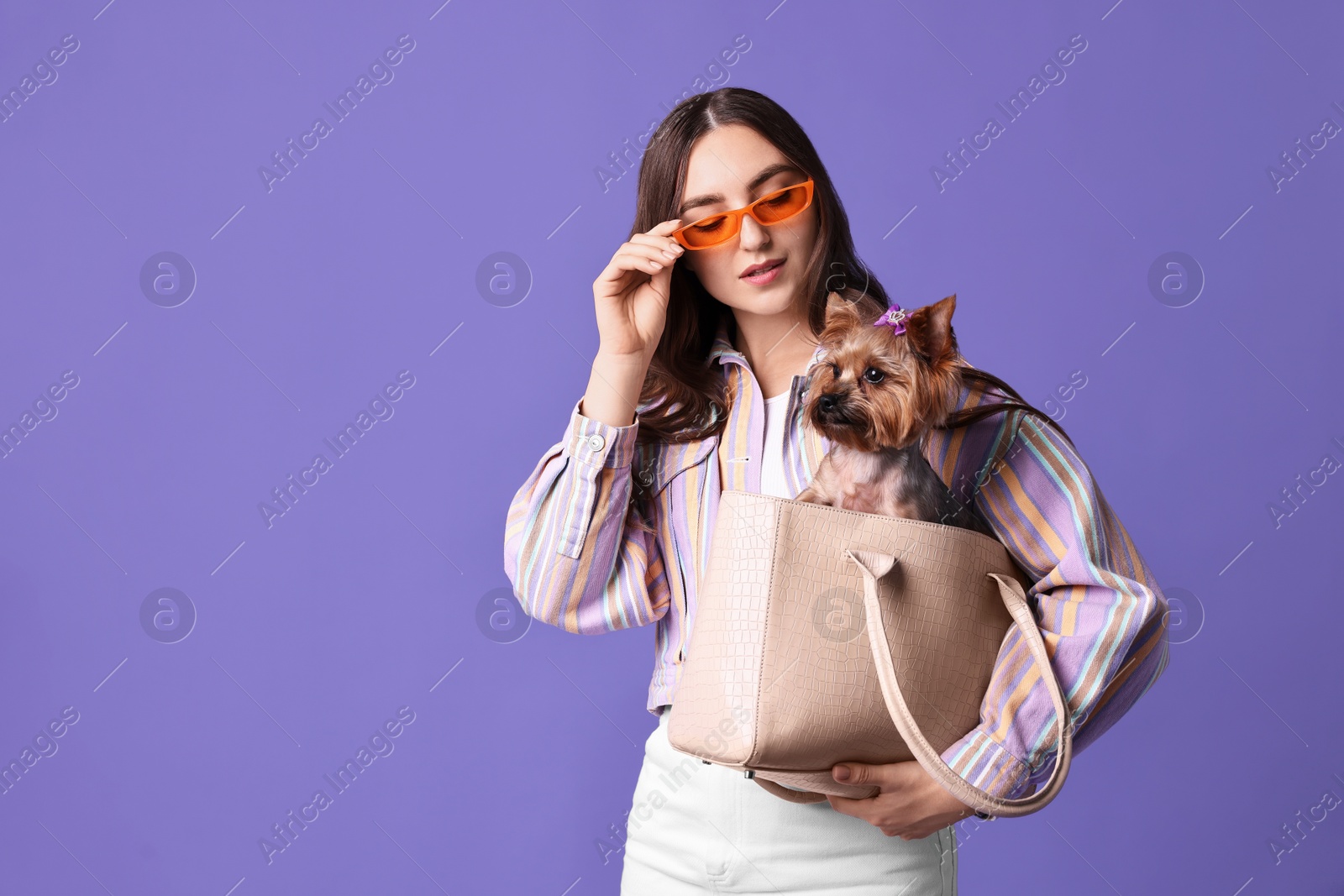 Photo of Beautiful young woman carrying cute Yorkshire Terrier dog in bag on violet background