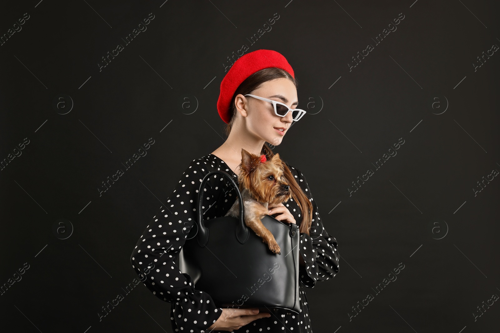 Photo of Woman in sunglasses holding bag with cute Yorkshire Terrier dog on black background