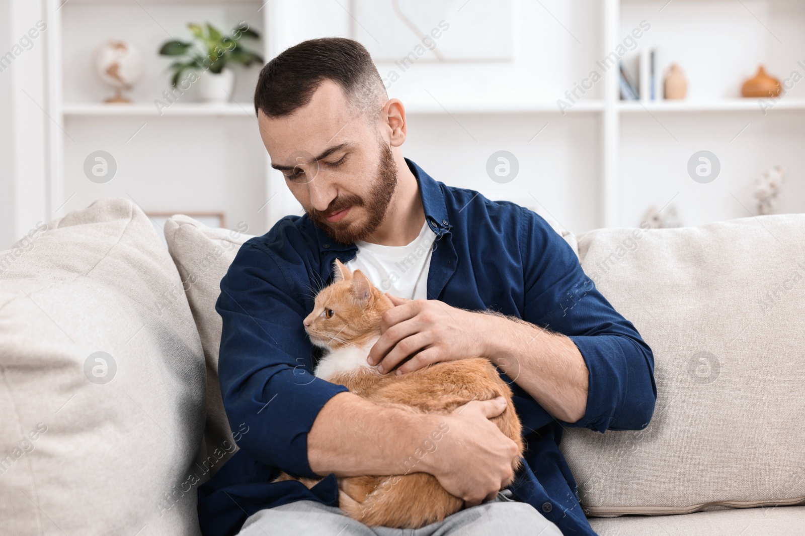 Photo of Man petting cute ginger cat on sofa at home