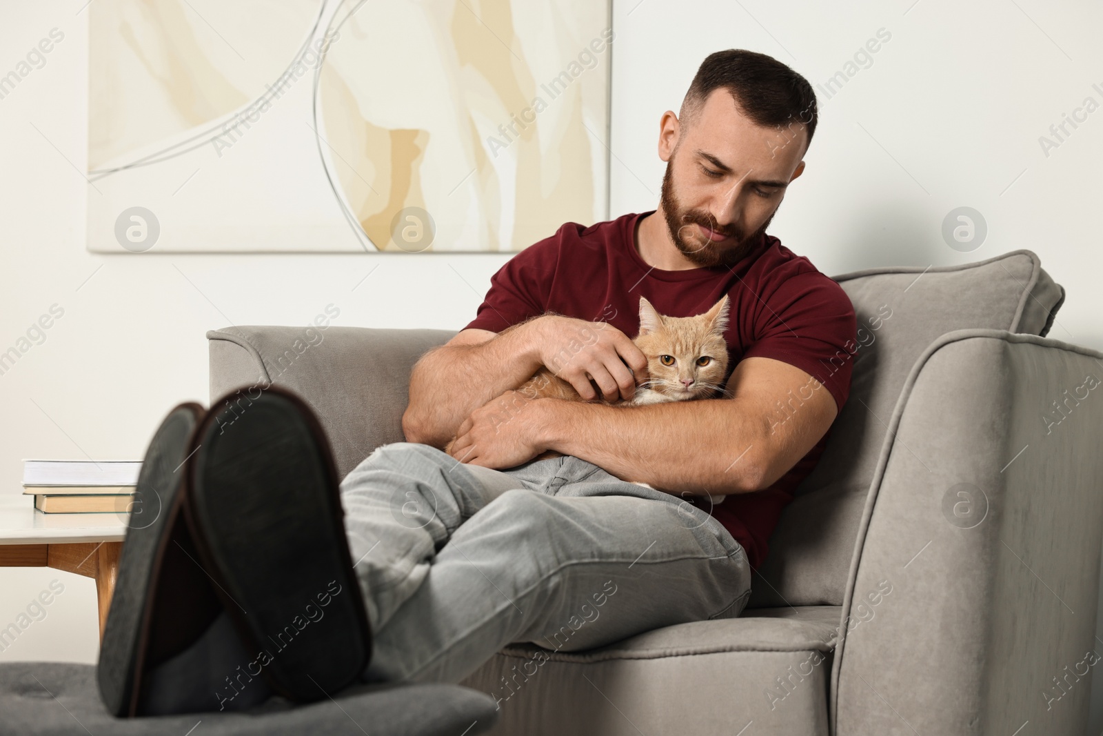 Photo of Man petting cute ginger cat on armchair at home