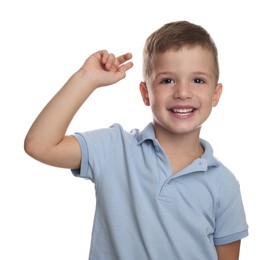 Portrait of cute little boy on white background